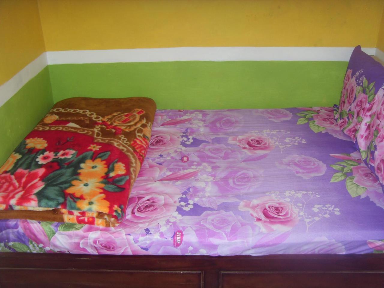 Cahyo Homestay Бромо Екстер'єр фото